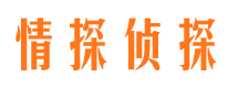 从江私家调查公司